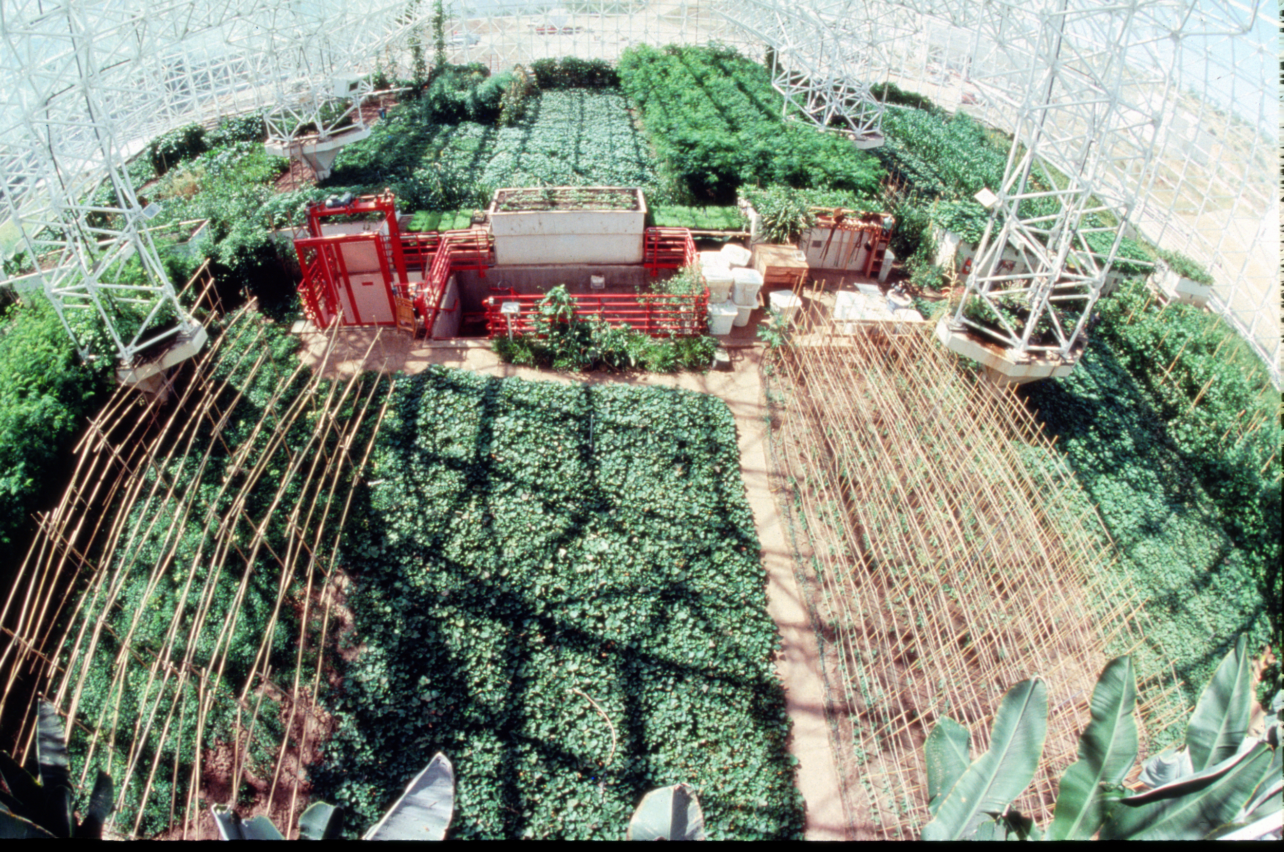 Сельскохозяйственная зона Биосферы-2. Фото: Abigail Alling, на правах добросовестного использования