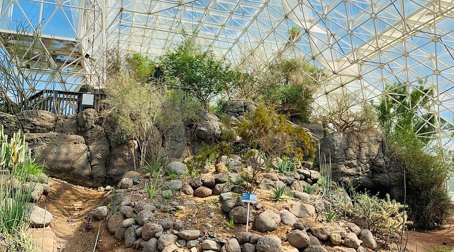 Остекление Биосферы-2. Фото: Biosphere-2 Management / TripAdvisor, на правах добросовестного использования